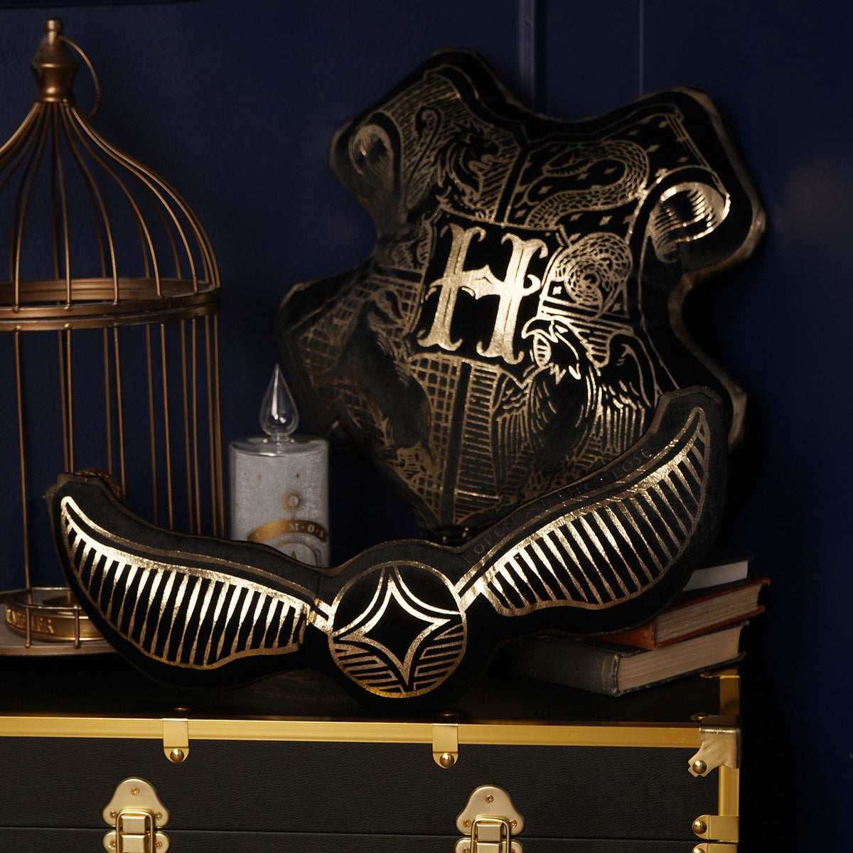 Harry Potter Alumni Velvet Cushion 50 x 20cm - Snitch