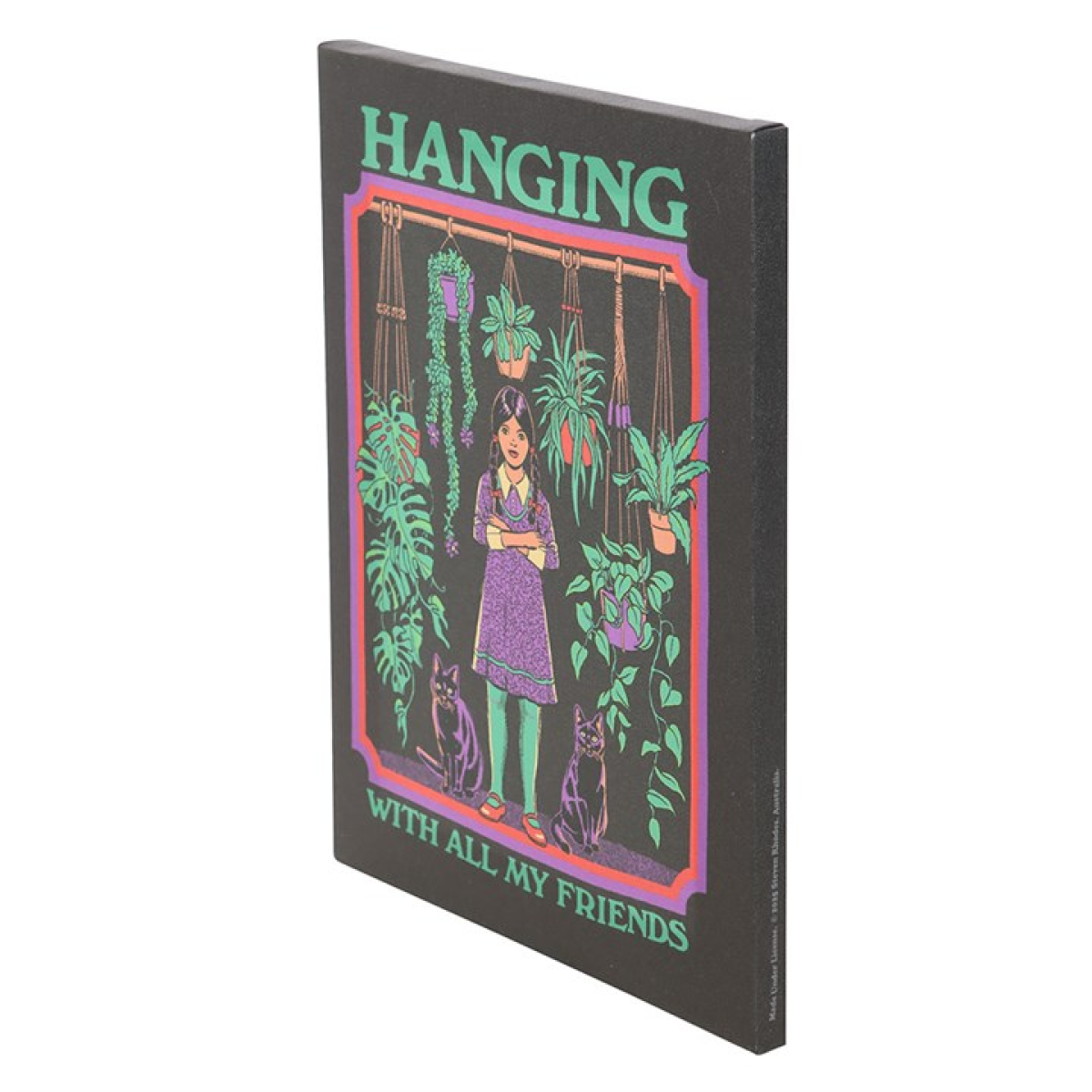 19x25cm Hanging With All My Friends Canvas Plaque by Steven Rhodes