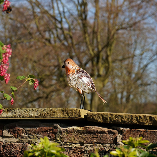 Country Living Robin Figurine – 23cm Decorative Bird Ornament