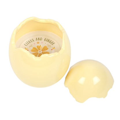Citrus & Ginger Egg Shaped Candle