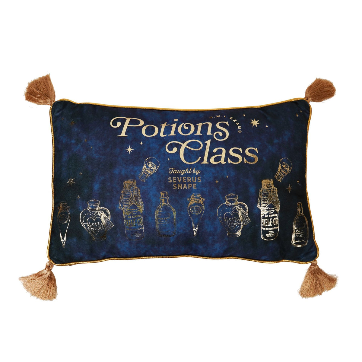 Harry Potter Potions Class Velvet Cushion - 50 x 30cm