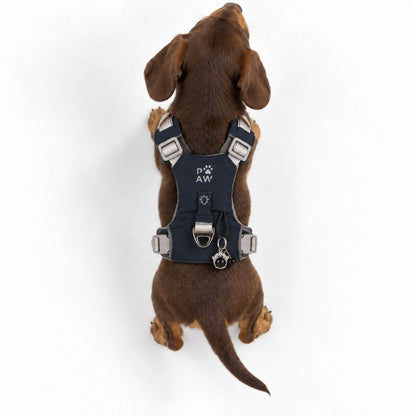 PAW XS Reflective Dog Harness – Rock Grey & Black Obsidian