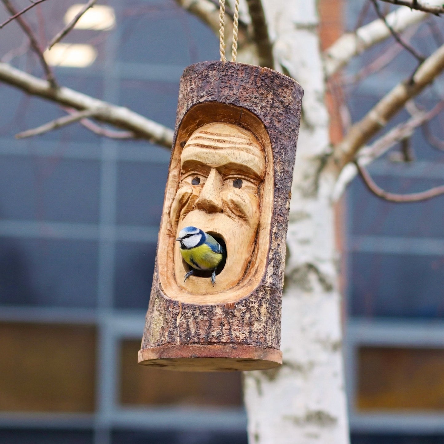 Grumpy Old Man Tree Trunk Bird House – Hand-Carved Wooden Nesting Box