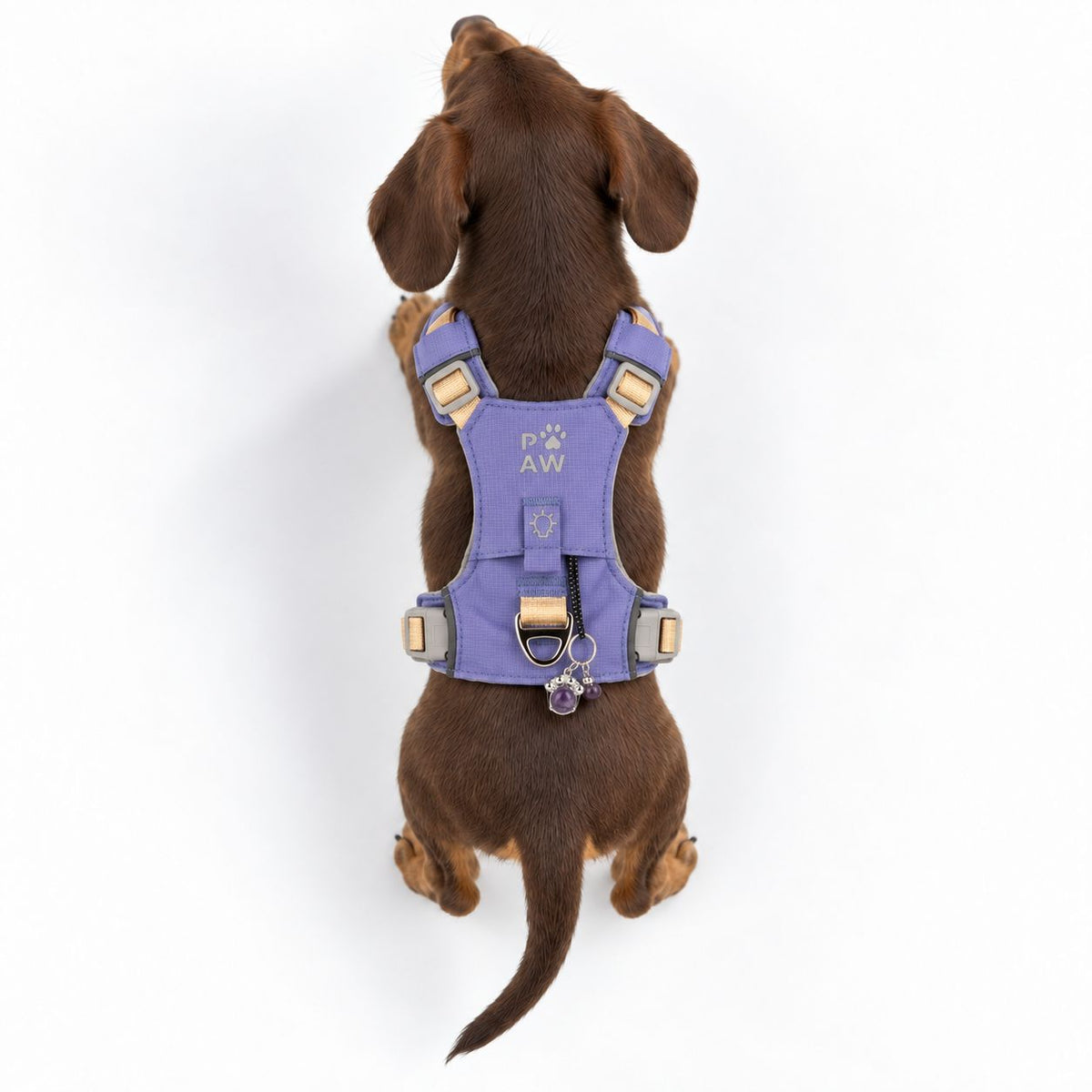PAW XS Reflective Dog Harness – Lavender & Amethyst