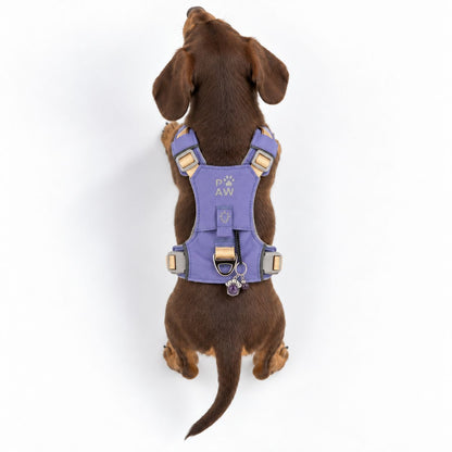 PAW XS Reflective Dog Harness – Lavender & Amethyst